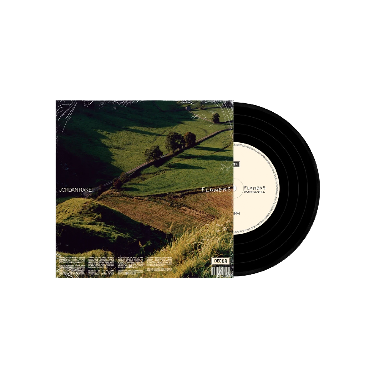 Jordan Rakei - Flowers 7" (Signed, Limited Edition)
